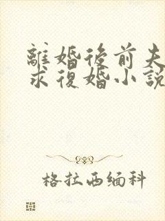 离婚后前夫哭着求复婚小说完整精校版