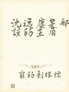 沈逸尘是哪本小说的主角