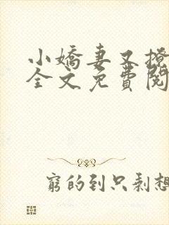 小娇妻又撩又甜全文免费阅读