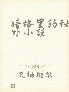 暗格里的秘密番外小说