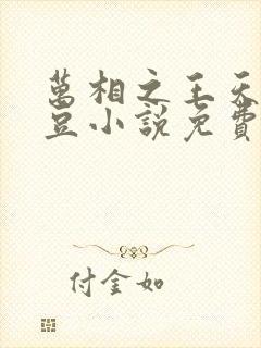 万相之王天蚕土豆小说免费阅