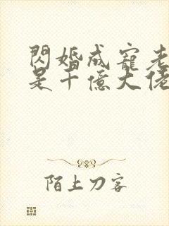 闪婚成宠老公竟是千亿大佬完整版