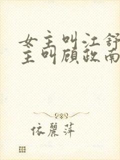 女主叫江舒棠男主叫顾政南的小说