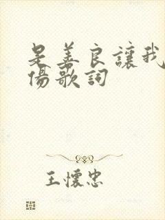 是善良让我受了伤歌词