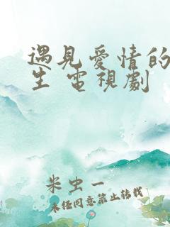 遇见爱情的利先生 电视剧