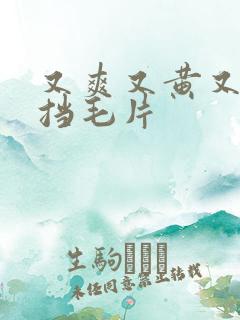 又爽又黄又无遮挡毛片