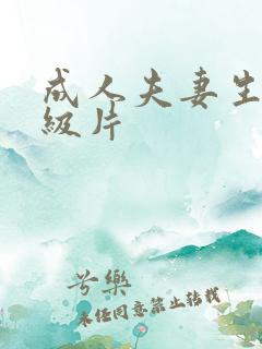 成人夫妻生活一级片