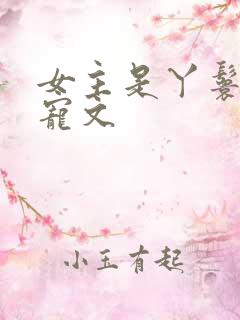 女主是丫鬟的甜宠文