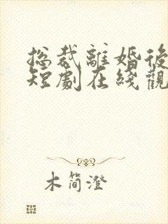 总裁离婚后悔了短剧在线观看