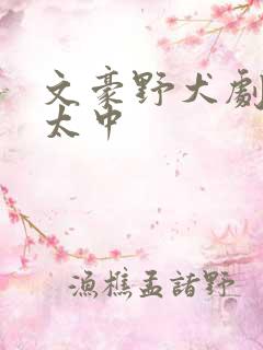 文豪野犬剧场版太中