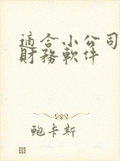 适合小公司用的财务软件