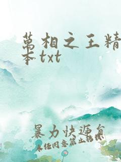 万相之王精校全本txt