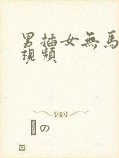 男插女无马赛克视频