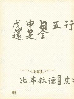 戊申日五行属土还是金