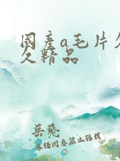 国产a毛片久久久精品