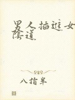 男人插进女人的阴道