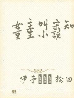 女主叫宋知意的重生小说