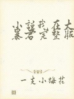 小说我在大明当暴君完整版未删减小说