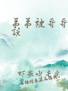 弟弟被哥哥插小说