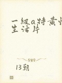 一级a特黄性色生活片