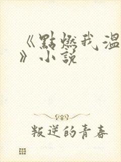《点燃我温暖你》小说