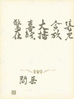 惊喜大合集动漫在线播放免费观看