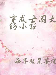 穿成亡国太子妃的小说