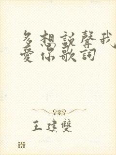 多想说声我真的爱你歌词