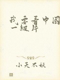 我要看中国黄色一级片