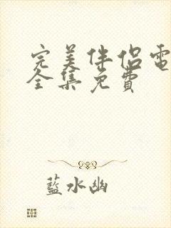 完美伴侣电视剧全集免费