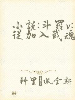 小说:斗罗v:从加入武魂殿开始