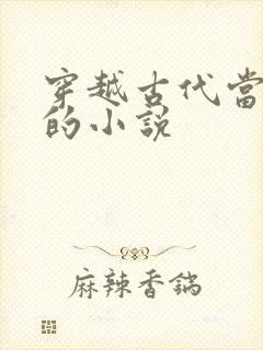 穿越古代当县令的小说