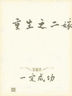 重生之二嫁前夫