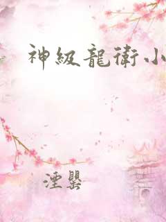 神级龙卫小说版