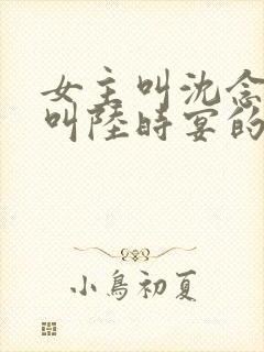 女主叫沈念男主叫陆时宴的小说