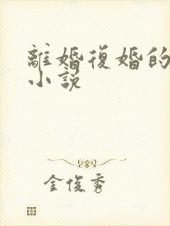 离婚复婚的高干小说