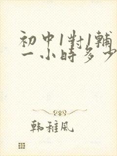 初中1对1辅导一小时多少钱