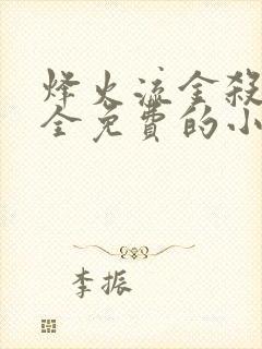 烽火流金杀破狼全免费的小说