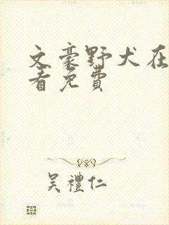 文豪野犬在哪里看免费