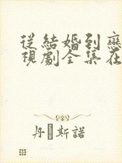 从结婚到恋爱电视剧全集在线观看