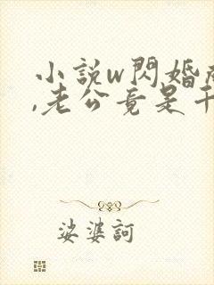 小说w闪婚成宠,老公竟是千亿大佬》