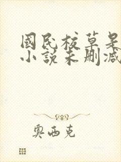 国民校草是女生小说未删减版