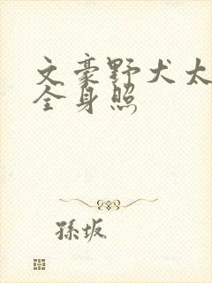 文豪野犬太宰治全身照