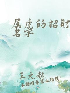 属虎的招财微信名字