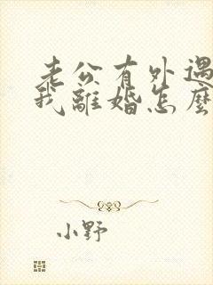 老公有外遇要跟我离婚怎么办