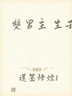 双男主 生子
