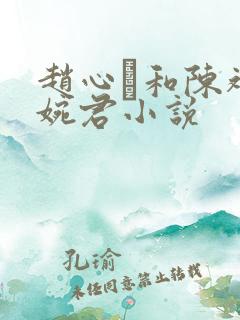 赵心睸和陈斌高婉君小说