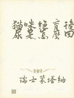 猫咪绝育后还乱尿是怎么回事