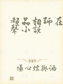 超品相师在线有声小说