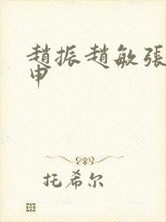 赵振赵敏张倩王申